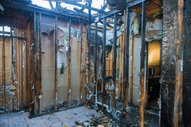 Professional Fire Damage Removal technician working in Magnolia, OH